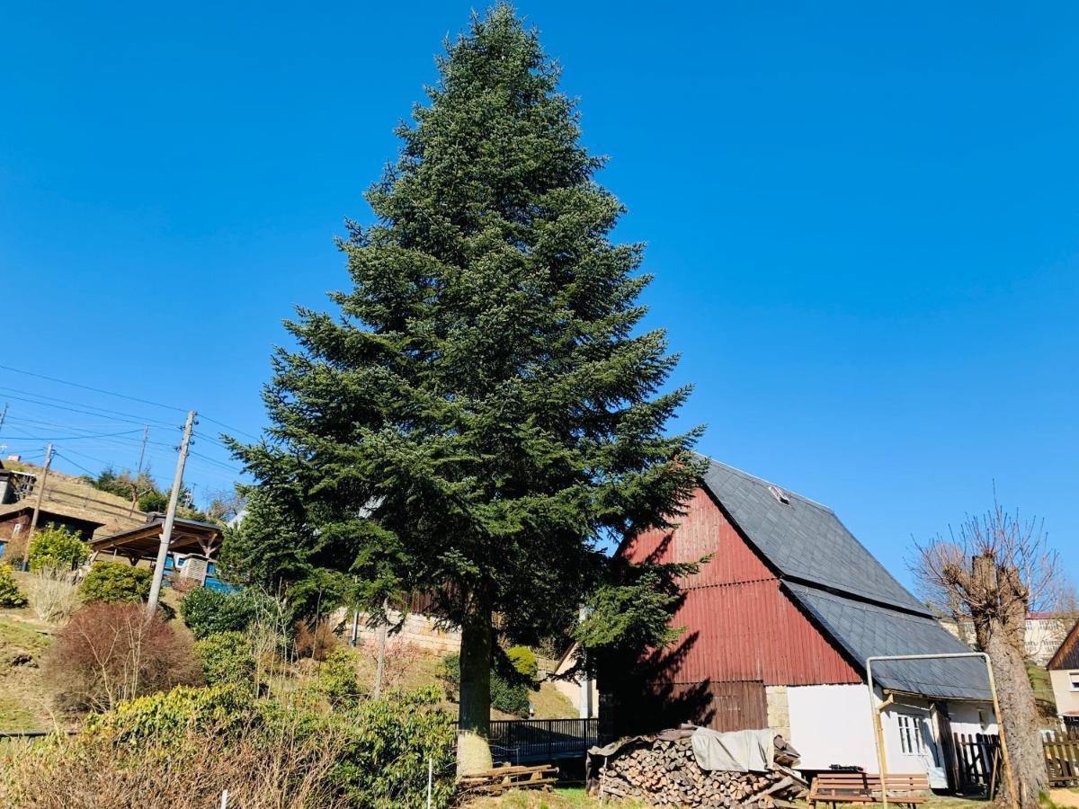 Naturhof Kluge Saupsdorf Εξωτερικό φωτογραφία