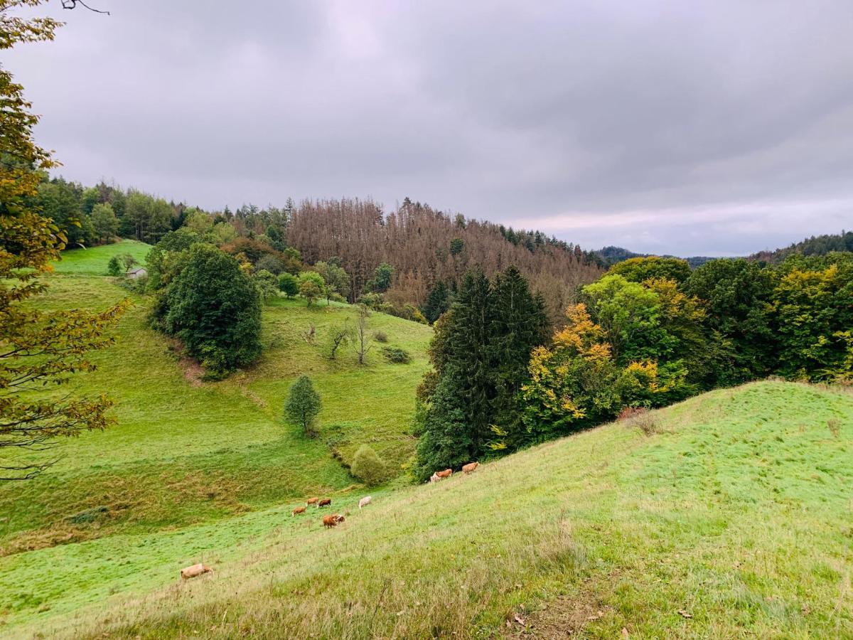 Naturhof Kluge Saupsdorf Εξωτερικό φωτογραφία