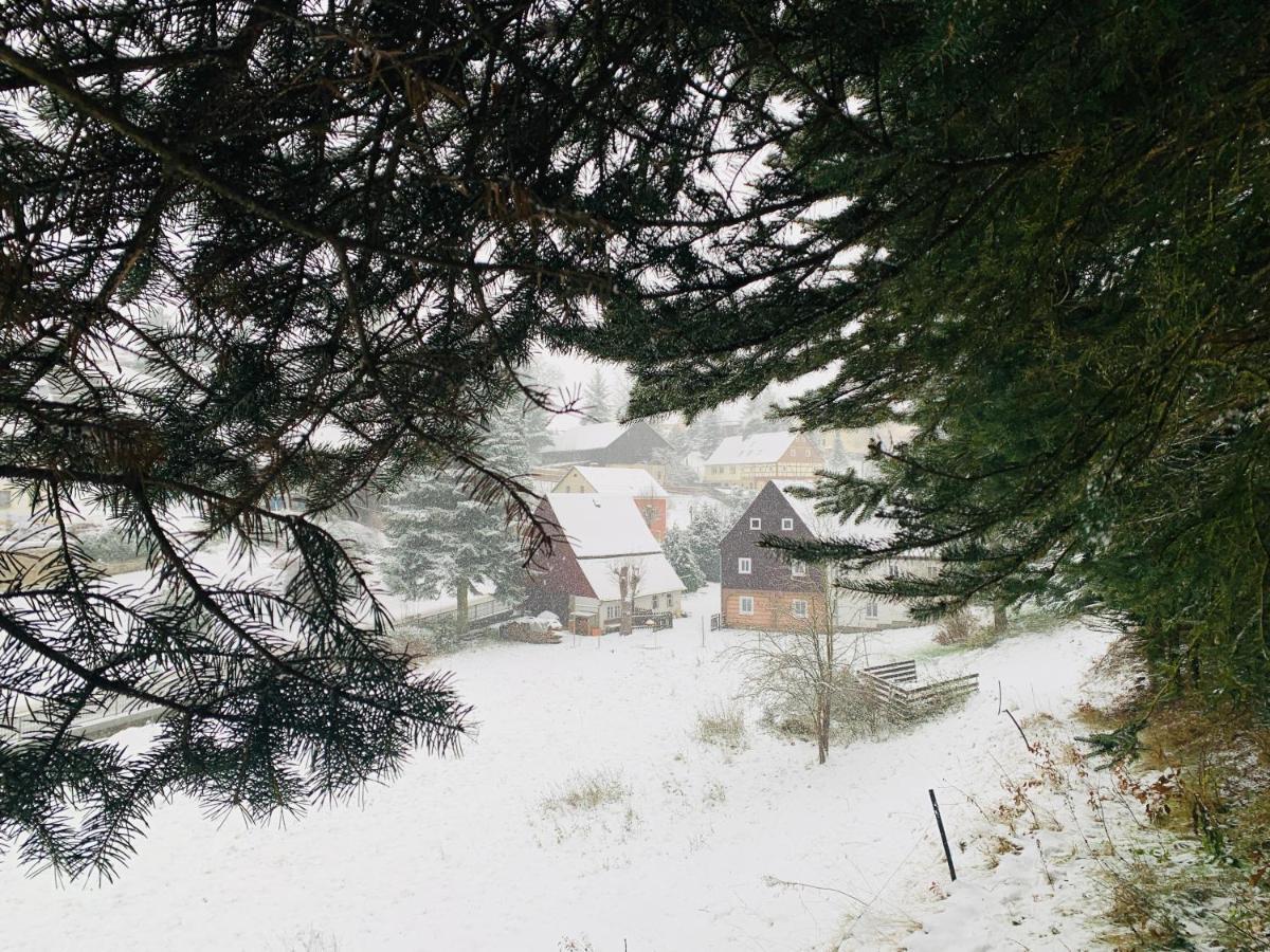 Naturhof Kluge Saupsdorf Εξωτερικό φωτογραφία