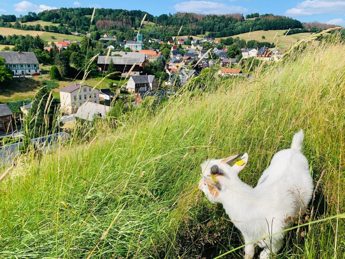 Naturhof Kluge Saupsdorf Εξωτερικό φωτογραφία